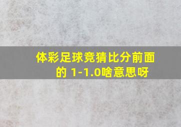 体彩足球竞猜比分前面的 1-1.0啥意思呀